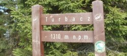 Gorce - Na gorczańskim szlaku Turbacz